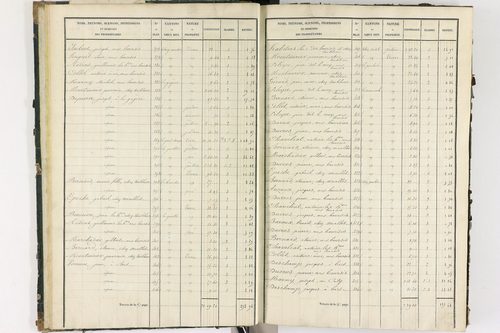 Bort-l'Étang - P 9050/1      Section A
