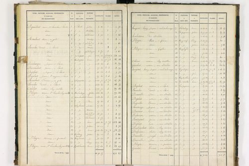 Bort-l'Étang - P 9050/3      Section C