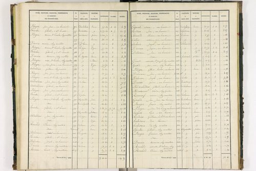 Bort-l'Étang - P 9050/3      Section C