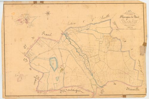 Bort-l'Étang - 51 FI 162      Section C des Andrauds, 2ème feuille