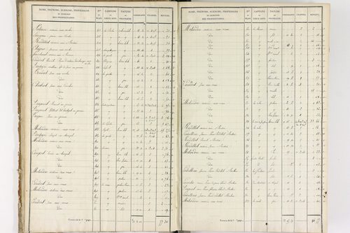Brousse - P 12373/1      Section A