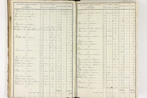 Brousse - P 12373/2      Section B