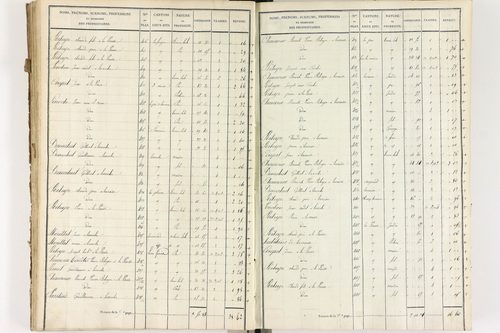 Brousse - P 12373/3      Section C