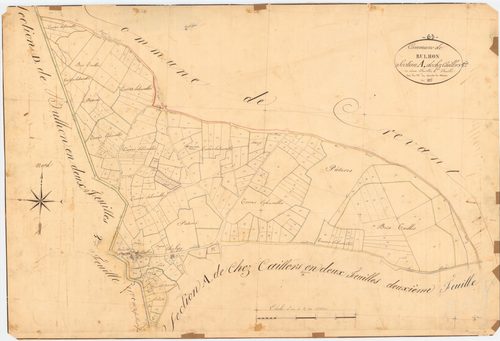 Bulhon - 55 FI 169      Section A de chez Caillers, 1ère feuille
