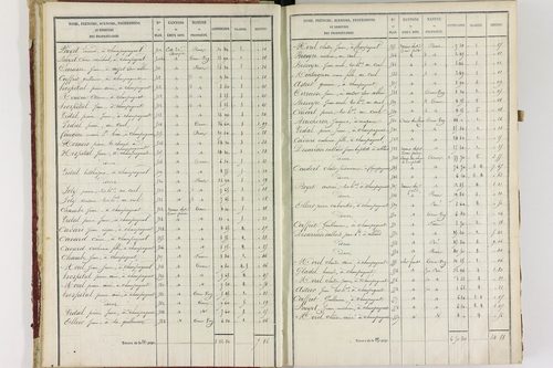Champagnat-le-Jeune - P 11236/1      Section A