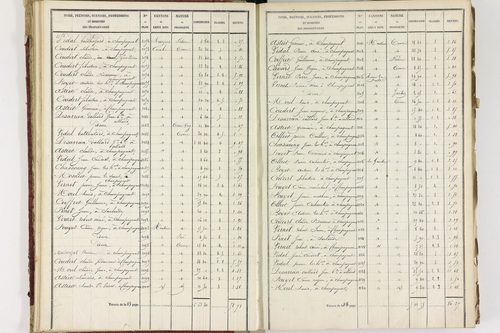 Champagnat-le-Jeune - P 11236/1      Section A
