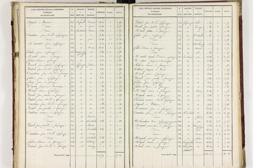 Champagnat-le-Jeune - P 11236/2      Section B