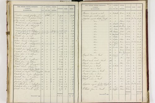 Champagnat-le-Jeune - P 11236/3      Section C