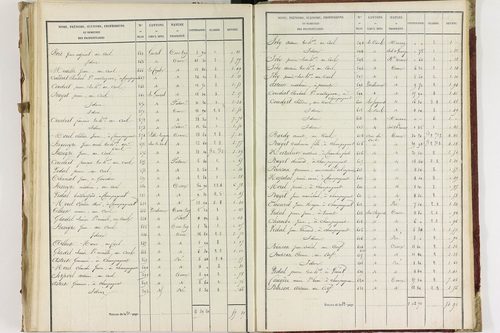 Champagnat-le-Jeune - P 11236/3      Section C