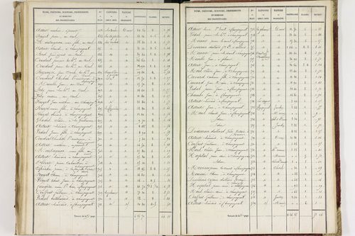 Champagnat-le-Jeune - P 11236/3      Section C