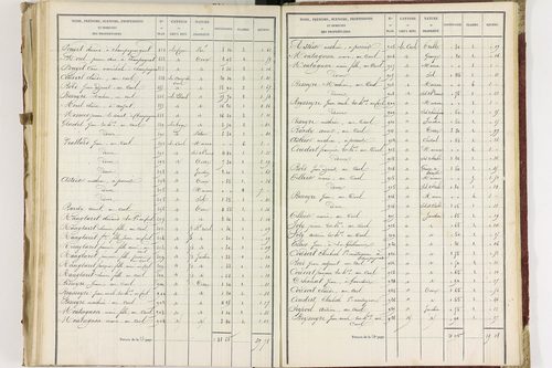 Champagnat-le-Jeune - P 11236/3      Section C
