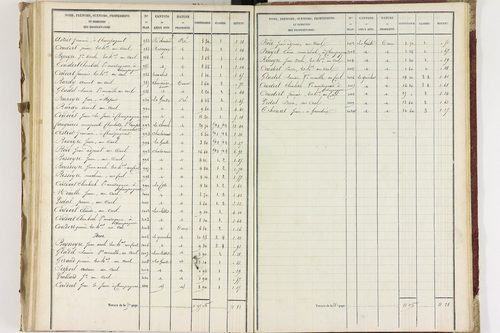 Champagnat-le-Jeune - P 11236/3      Section C