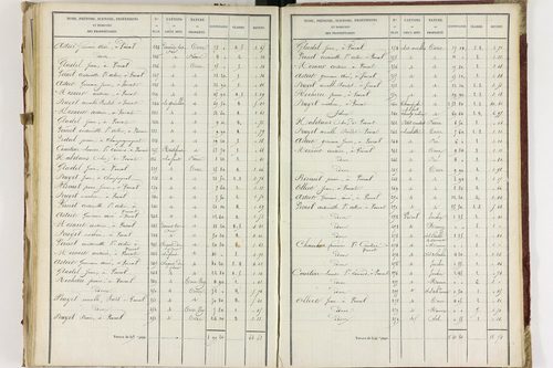 Champagnat-le-Jeune - P 11236/3      Section C