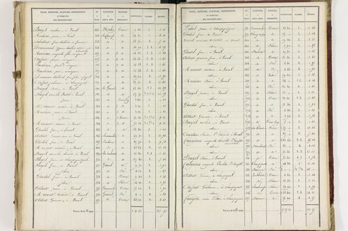 Champagnat-le-Jeune - P 11236/3      Section C