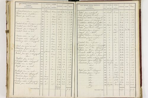 Champagnat-le-Jeune - P 11236/3      Section C
