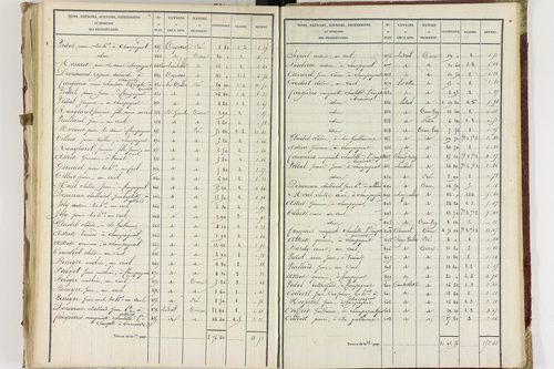 Champagnat-le-Jeune - P 11236/3      Section C