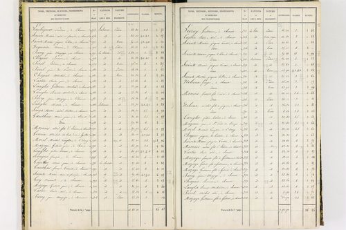 Chanat-la-Mouteyre - P 9151/1      Section A