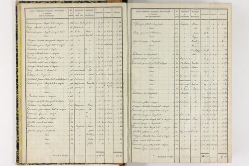 Chapdes-Beaufort - P 10143/1      Section A