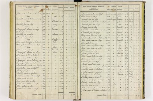 Chapdes-Beaufort - P 10143/4      Section E