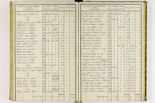 Chapdes-Beaufort - P 10143/4      Section E