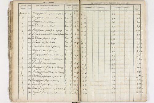 Châteaugay - P 10175      Section D (1813)
