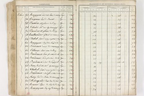 Châteaugay - P 10174      Section C (1813)