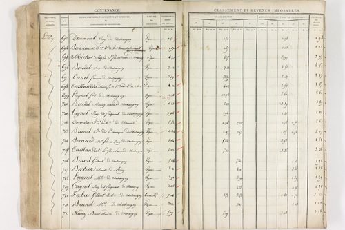 Châteaugay - P 10174      Section C (1813)