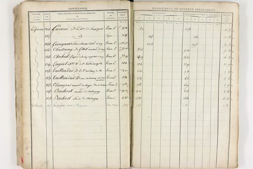 Châteaugay - P 10174      Section C (1813)