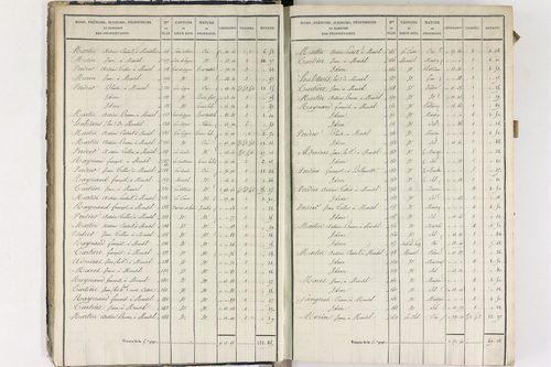 Compains - P 11248/1      Section A