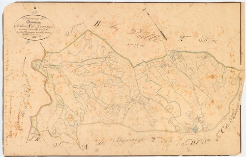 Domaize - 51 FI 423      Section A de Domaize, 1ère feuille