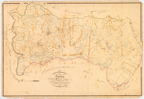 Domaize - 51 FI 430      Section E de la Vigne, 1ère feuille
