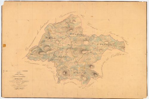 Domaize - 51 FI 422      Tableau d'assemblage du plan cadastral parcellaire de la commune de Domaize