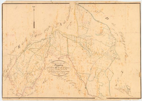 Domaize - 51 FI 431      Section E de la Vigne, 2ème feuille