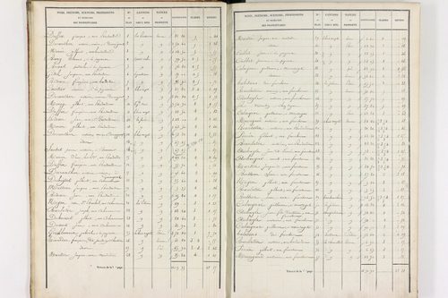Durmignat - P 10244/1      Section A