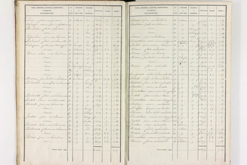 Durmignat - P 10244/1      Section A