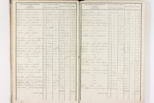 Durmignat - P 10244/1      Section A