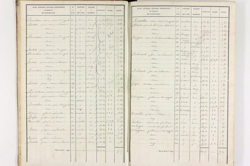 Durmignat - P 10244/1      Section A
