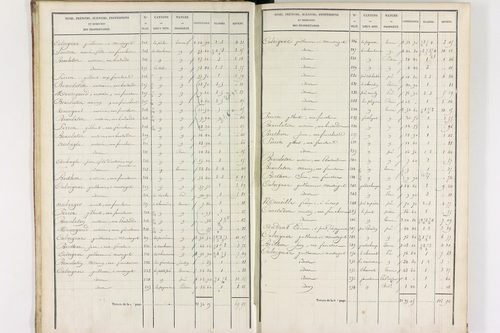Durmignat - P 10244/1      Section A