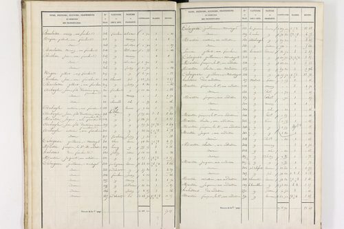 Durmignat - P 10244/1      Section A