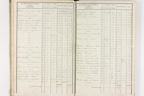 Durmignat - P 10244/1      Section A