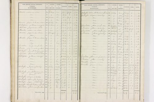 Durmignat - P 10244/1      Section A