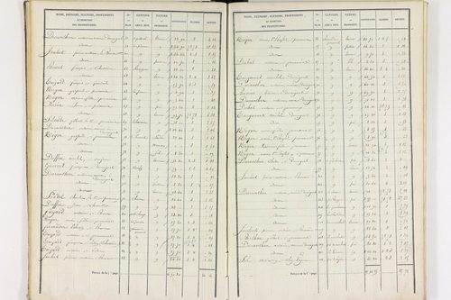 Durmignat - P 10244/2      Section B