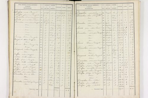 Durmignat - P 10244/2      Section B