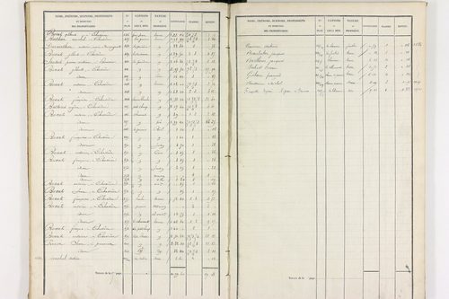 Durmignat - P 10244/2      Section B