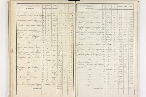Durmignat - P 10244/3      Section C