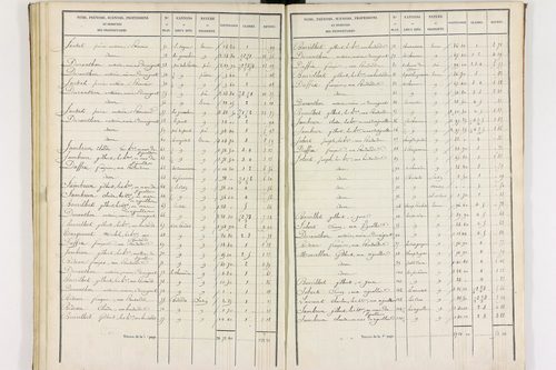 Durmignat - P 10244/3      Section C