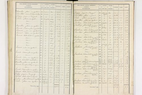 Durmignat - P 10244/3      Section C