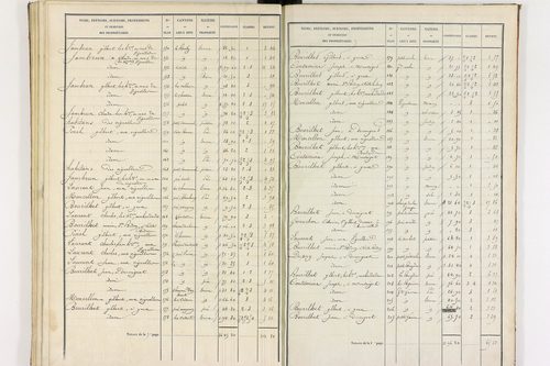 Durmignat - P 10244/3      Section C