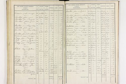 Durmignat - P 10244/3      Section C