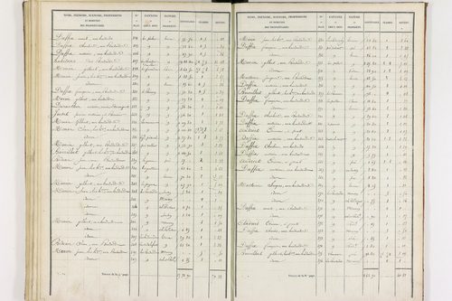 Durmignat - P 10244/3      Section C